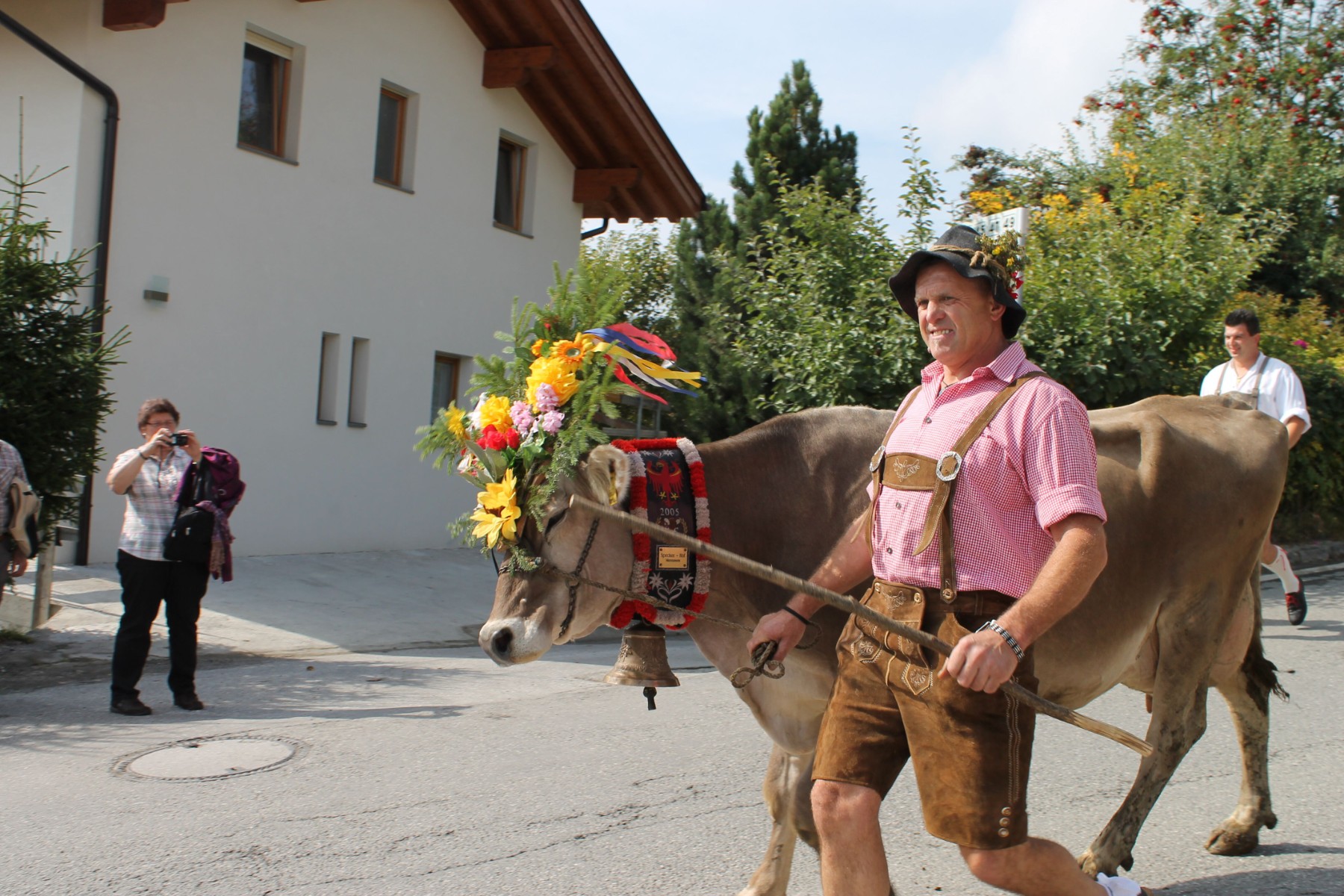 Almabtrieb in Val Pusteria - Concert with Vincent & Fernando | Rio Di  Pusteria, Trentino Alto Adige | DLT Travel